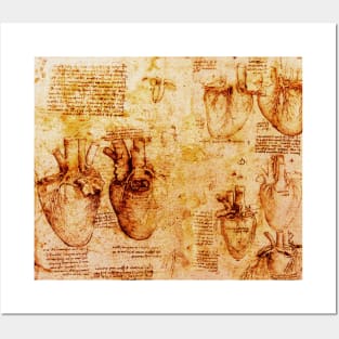 Heart And Its Blood Vessels, Leonardo Da Vinci Anatomy Drawings  Monochrome Brown Parchment Posters and Art